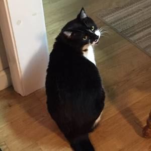 Meet your Posher, Christina